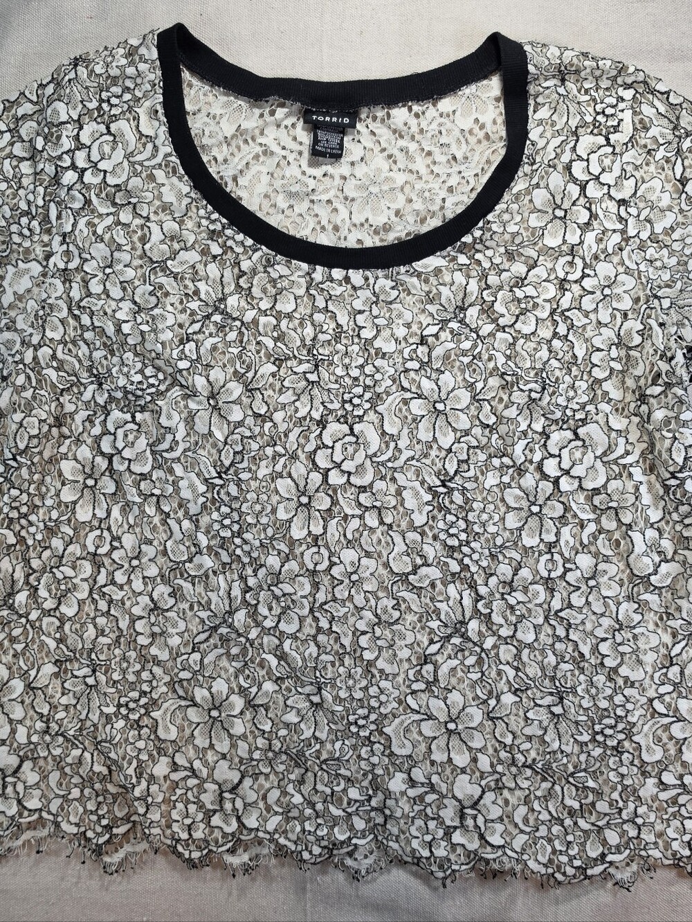 Torrid Cream Floral Lace Short Sleeve Top with Black Trim